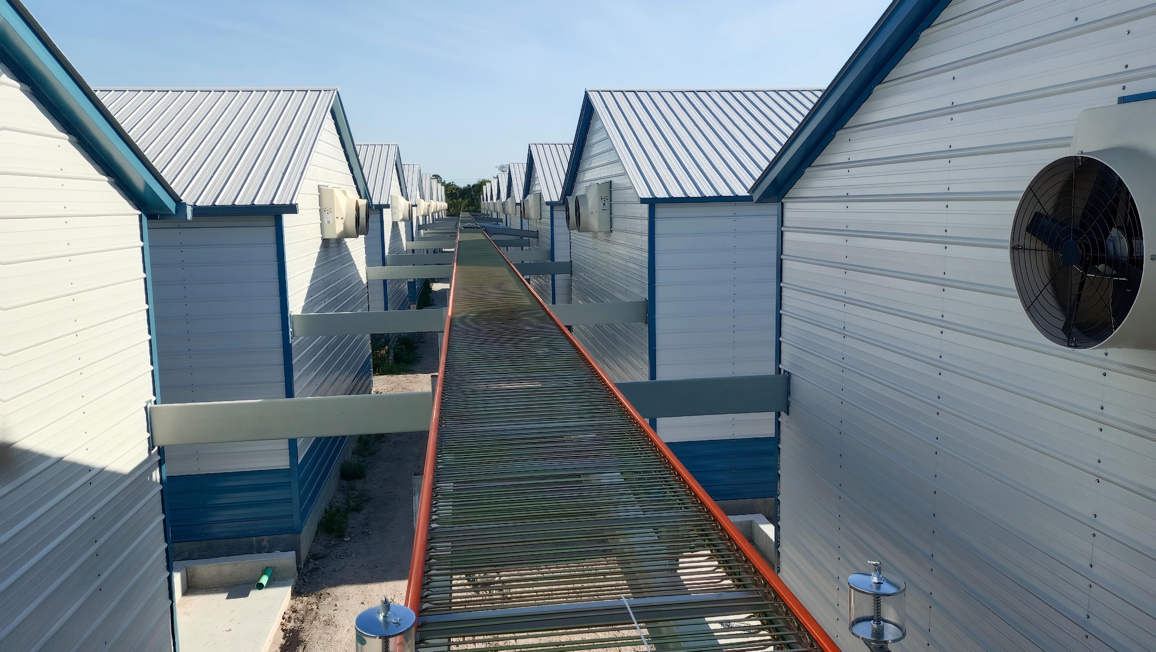 Amérique 400 000 couches de projet sans cage