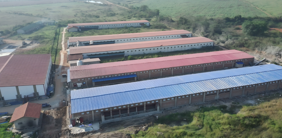 Projet de 1 million de couches en Ouganda