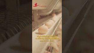 Farmrob | Collecte d'oeufs stable avec taux de casse 0,2% #fermeaviculture #poulet #produitsd'usine