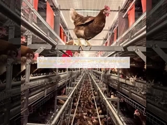 Système multicouche sans cage avec plateforme de mouvement suffisante