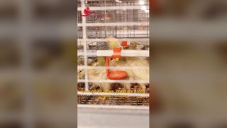 Hauteur d'étage 700 mm