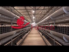 Farmrob | Cage d'élevage pour insémination artificielle