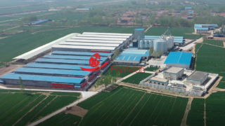 Farmrob | 3 millions d'élevages de poules pondeuses dans le Shandong
