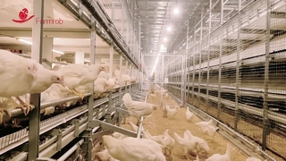 Système de protection sociale Farmrob