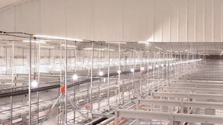Système sans cage Farmrob avec de bonnes performances